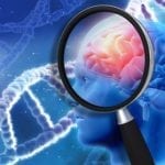 Régénérer le cerveau dans la maladie de Huntington
