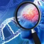 Régénérer le cerveau dans la maladie de Huntington