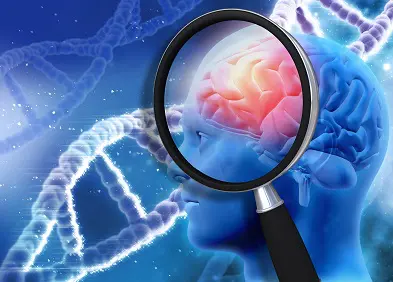 Régénérer le cerveau dans la maladie de Huntington
