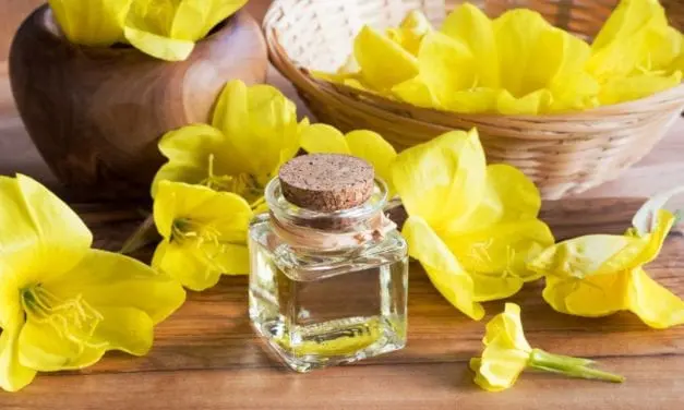 Les vertus de l’huile d’onagre