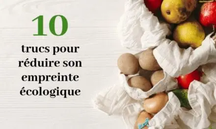 10 conseils pour réduire son empreinte carbone !