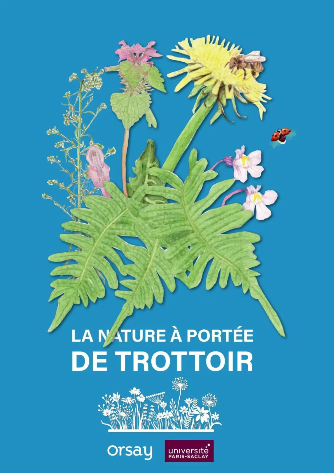 des-ouvrages-pour-prendre-soin-de-notre-planete-et-de-notre-sante