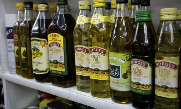 1 huile d’olive italienne sur 2 n’est pas aussi vierge extra qu’elle le prétend