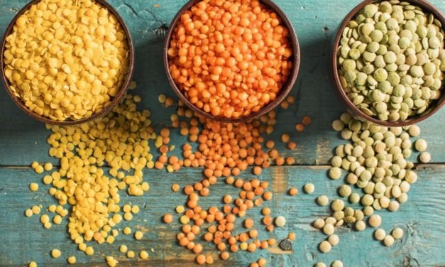 La lentille, super star des légumes secs
