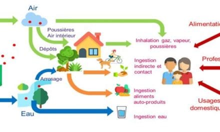 Pesticides et effets sur la santé : Nouvelles données