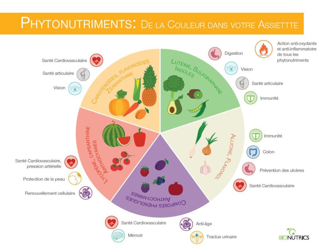 les-phytonutriments-super-heros-de-la-prevention-sante