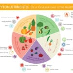 Les phytonutriments super héros de la prévention santé