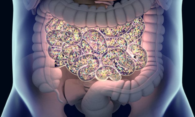 La souche microbiotique Bifidobacterium longum 35624®, une nouvelle voie dans la réduction des symptômes du Syndrome de l’Intestin Irritable