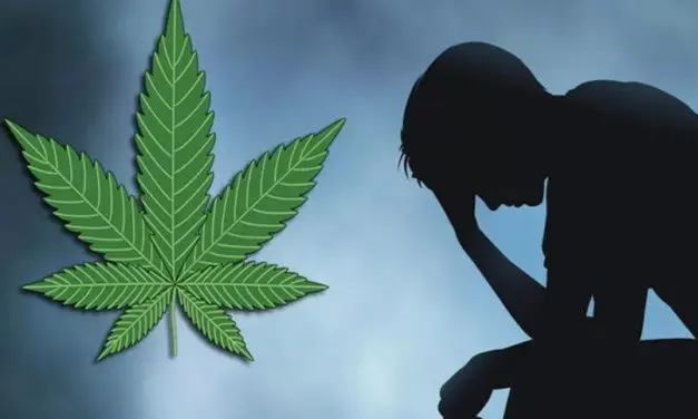 Des études scientifiques démontrent l’efficacité du CBD dans les troubles anxieux