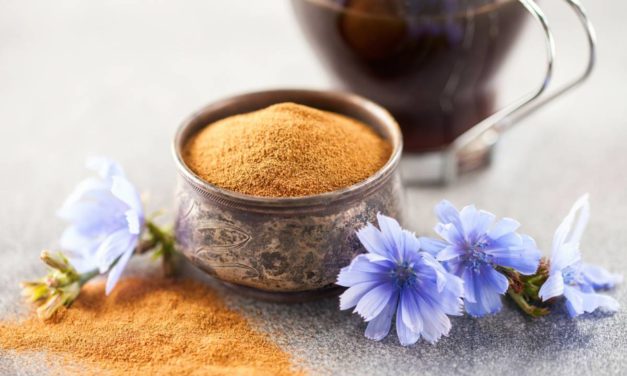 Pourquoi les fibres de chicorée bénéficient d’une bonne tolérance digestive ?