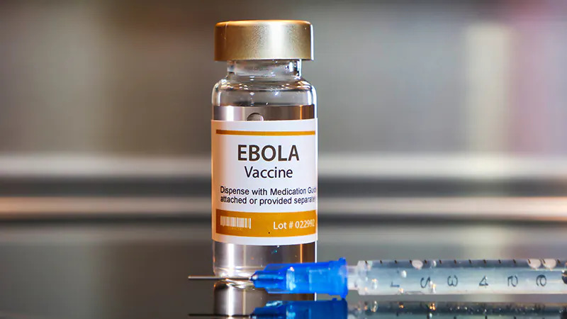 Confirmation de l’intérêt d’un schéma vaccinal à deux doses contre Ebola