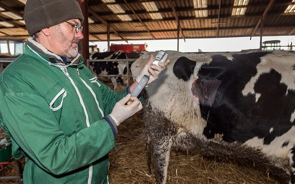 Résistance aux antibiotiques chez les animaux  : conclusions des études