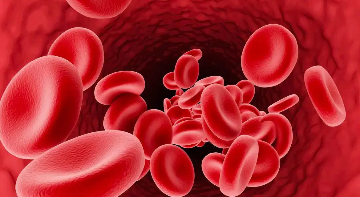 Leucémies myéloïdes : comprendre les résistances aux traitements pour aller vers la médecine personnalisée