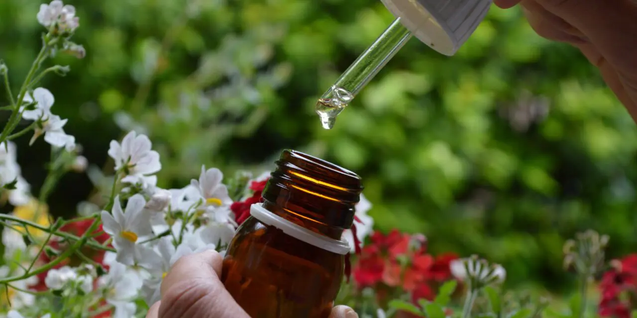 Pacifiez nos émotions avec les élixirs floraux