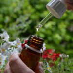 Pacifiez nos émotions avec les élixirs floraux
