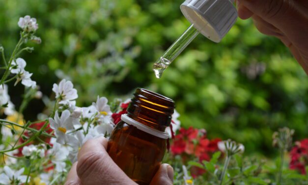 Pacifiez nos émotions avec les élixirs floraux