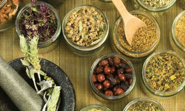 Phytothérapie et aromathérapie : adapter l’évaluation des risques en médecine vétérinaire