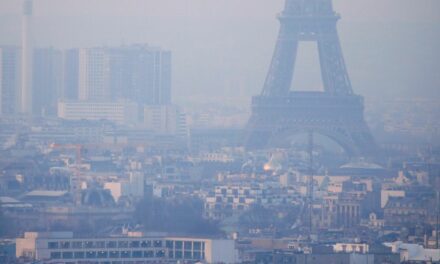 Pollution atmosphérique : 7 900 décès prématurés pourraient être évités chaque année en Île-de-France