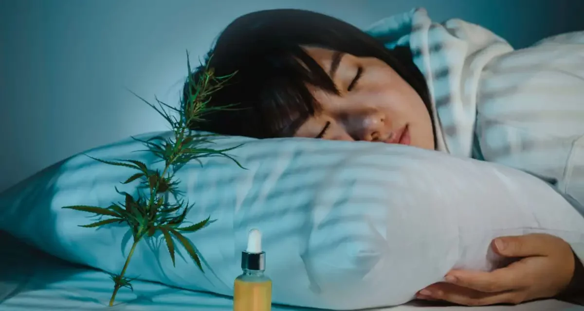 Quelle huile CBD choisir pour mieux dormir ?