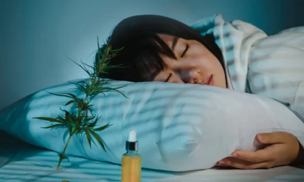 Quelle huile CBD choisir pour mieux dormir ?