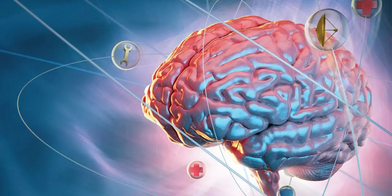 Greffe de moelle osseuse : Quel est l’impact de la chimiothérapie sur le cerveau ?