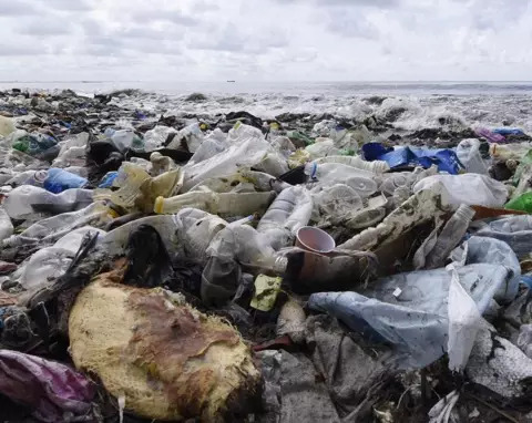 Adoption historique de la résolution sur la pollution plastique et les déchets marins