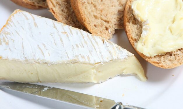 Après les pizzas Buitoni et les chocolats Kinder, des centaines de fromages rappelés en urgence à cause d’une bactérie dangereuse