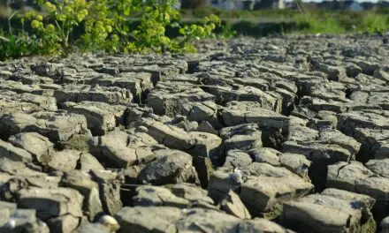 5 mesures du gouvernement pour faire face à la sécheresse
