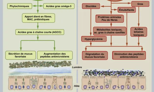 Liens entre le microbiote intestinal et les maladies neurologiques