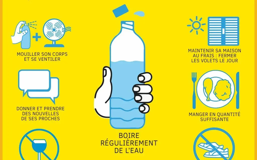 Pic de chaleur : nos conseils