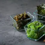 Les vertus insoupçonnées des algues