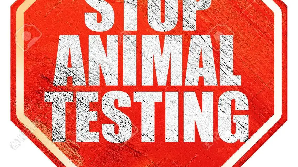 Les français exigent en masse de faire cesser l’expérimentation animale