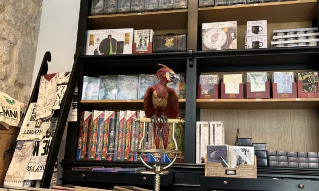 Plongez dans l’univers d’Harry Potter