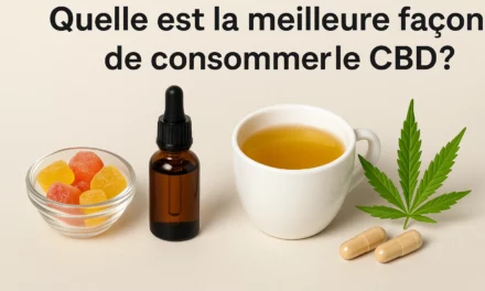 Quelle est la meilleure façon de consommer le CBD ?