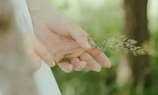 Biosourcé ça veut dire bio ?