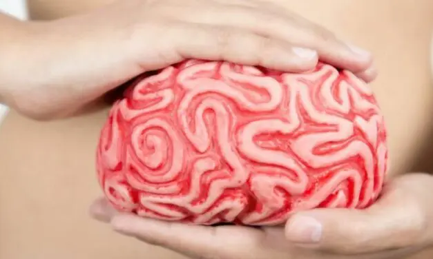 Pourquoi dit-on que notre intestin est notre 2ème cerveau ?