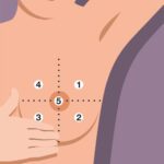Autopalpation mammaire