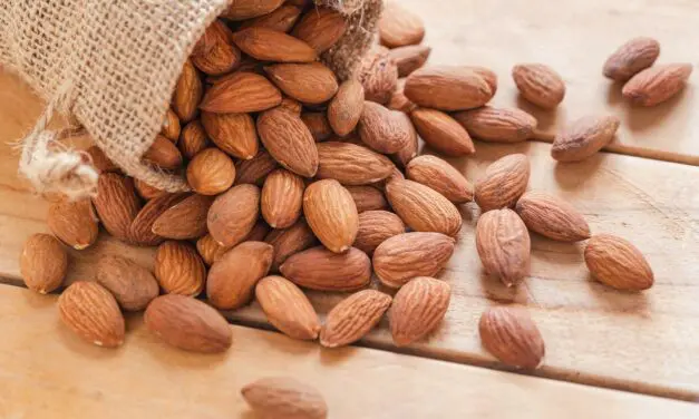 Les amandes nourrissent notre microbiote intestinal