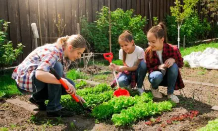 Le jardinage est bénéfique pour la santé physique et mentale