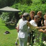 Vive les jardins de soin !