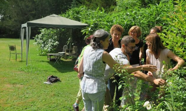 Vive les jardins de soin !
