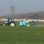 L’Anses interdit les herbicides à base de S-métolachlore
