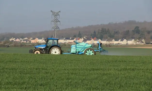 L’Anses interdit les herbicides à base de S-métolachlore