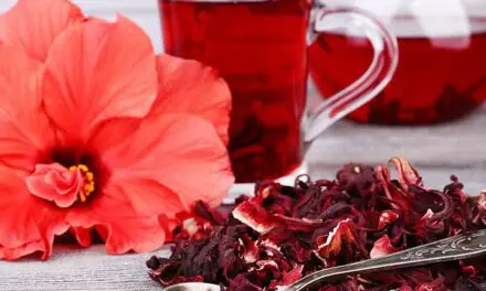 Découvrez les incroyables bienfaits de l’hibiscus pour votre santé et votre bien-être