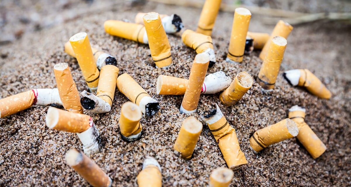 Plus de 130 experts de la santé et de l’environnement demandent l’interdiction des filtres à cigarettes lors des négociations du traité plastique à Paris