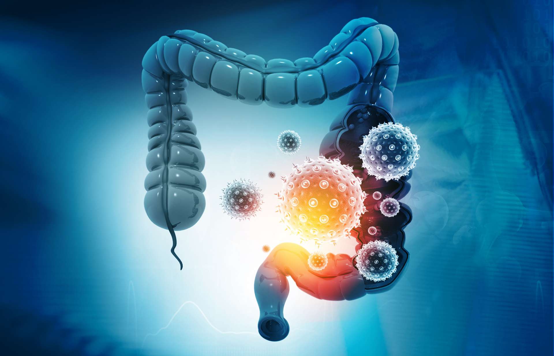 Understanding the Biological Explanation for Long Covid: Abnormalities of the Immune System and the Persistence of SARS-CoV-2 in Mucous Membranes