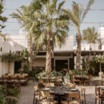 Nöema : découvrez le premier restaurant zéro déchet pour une expérience gastronomique écoresponsable