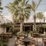 Nöema : découvrez le premier restaurant zéro déchet pour une expérience gastronomique écoresponsable