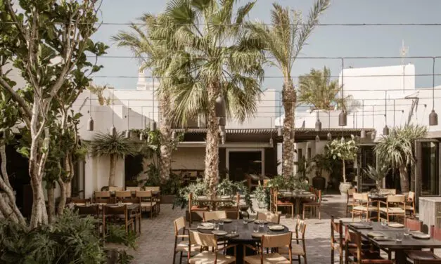 Nöema : découvrez le premier restaurant zéro déchet pour une expérience gastronomique écoresponsable