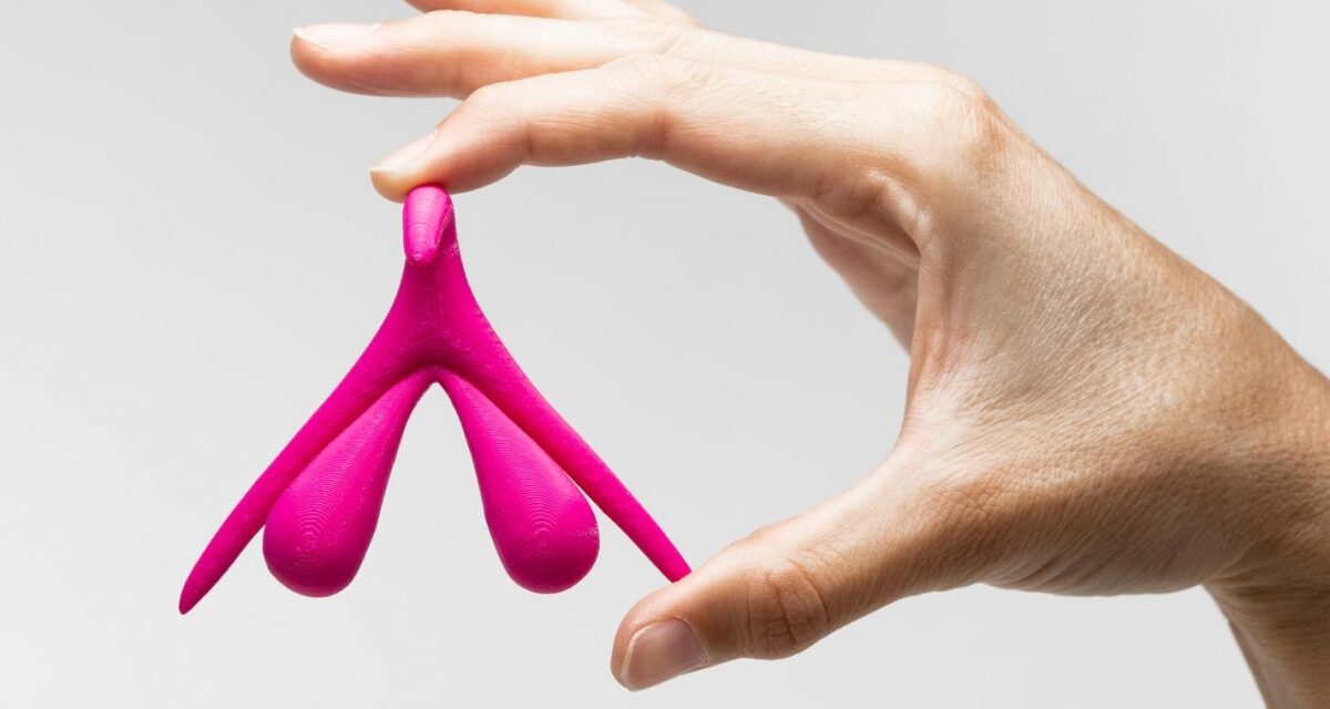 Tout savoir sur le clitoris : anatomie, fonctions et stimulation optimale